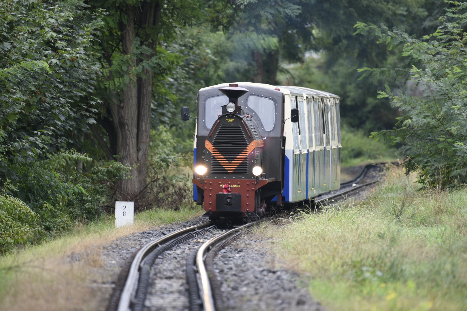 Maltanka Poznań 2021 - Wojtek Wardejn