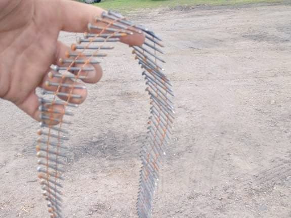 pułapka rolnicza pole kukurydzy  - TT: Patrycja_Stempniak