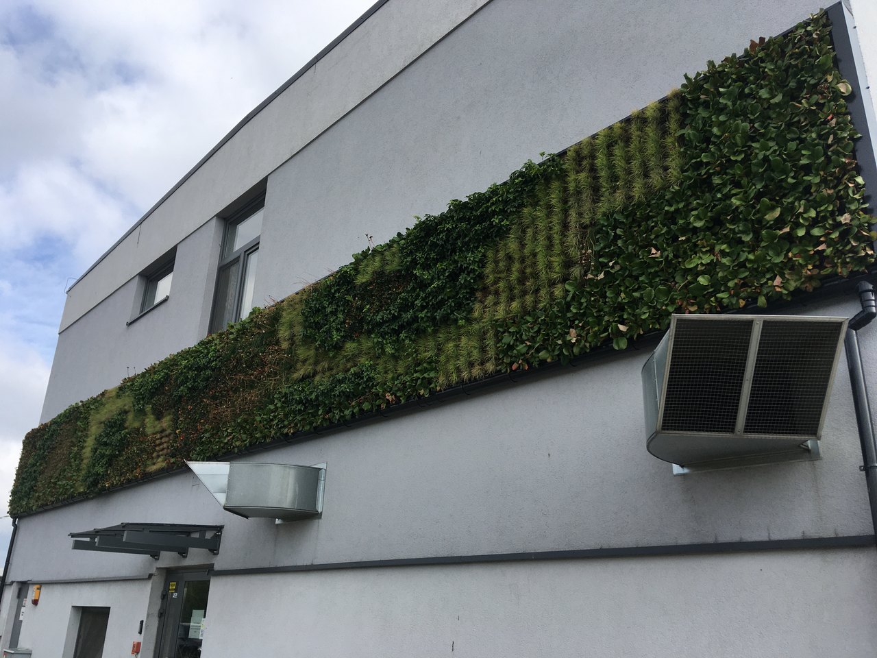 ogrod na scianie jarocin - Rafał Regulski - Radio Poznań