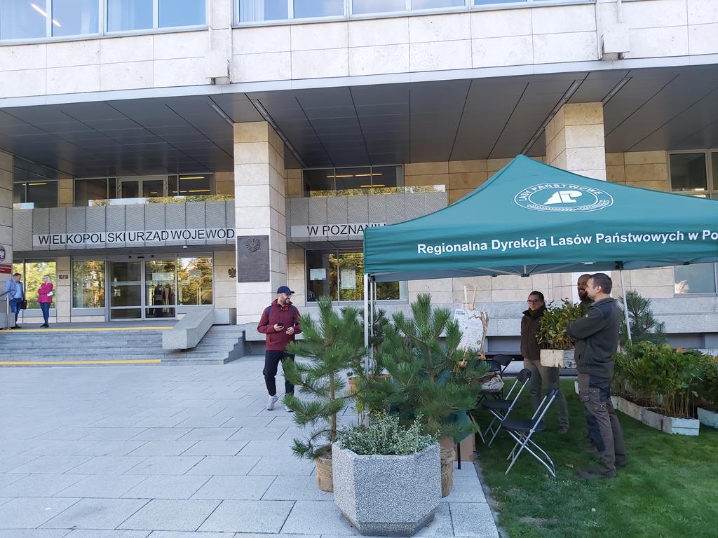 darmowe sadzonki akcja sadzimy - Krzysztof Polasik