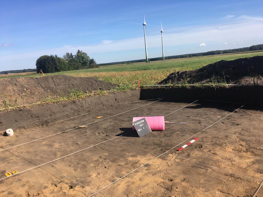 archeolodzy słuszków - Danuta Synkiewicz 