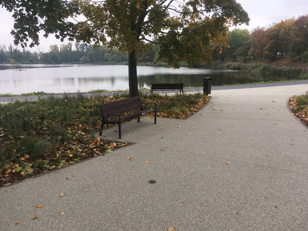 jelonek rewitalizacja gniezno - Rafał Muniak