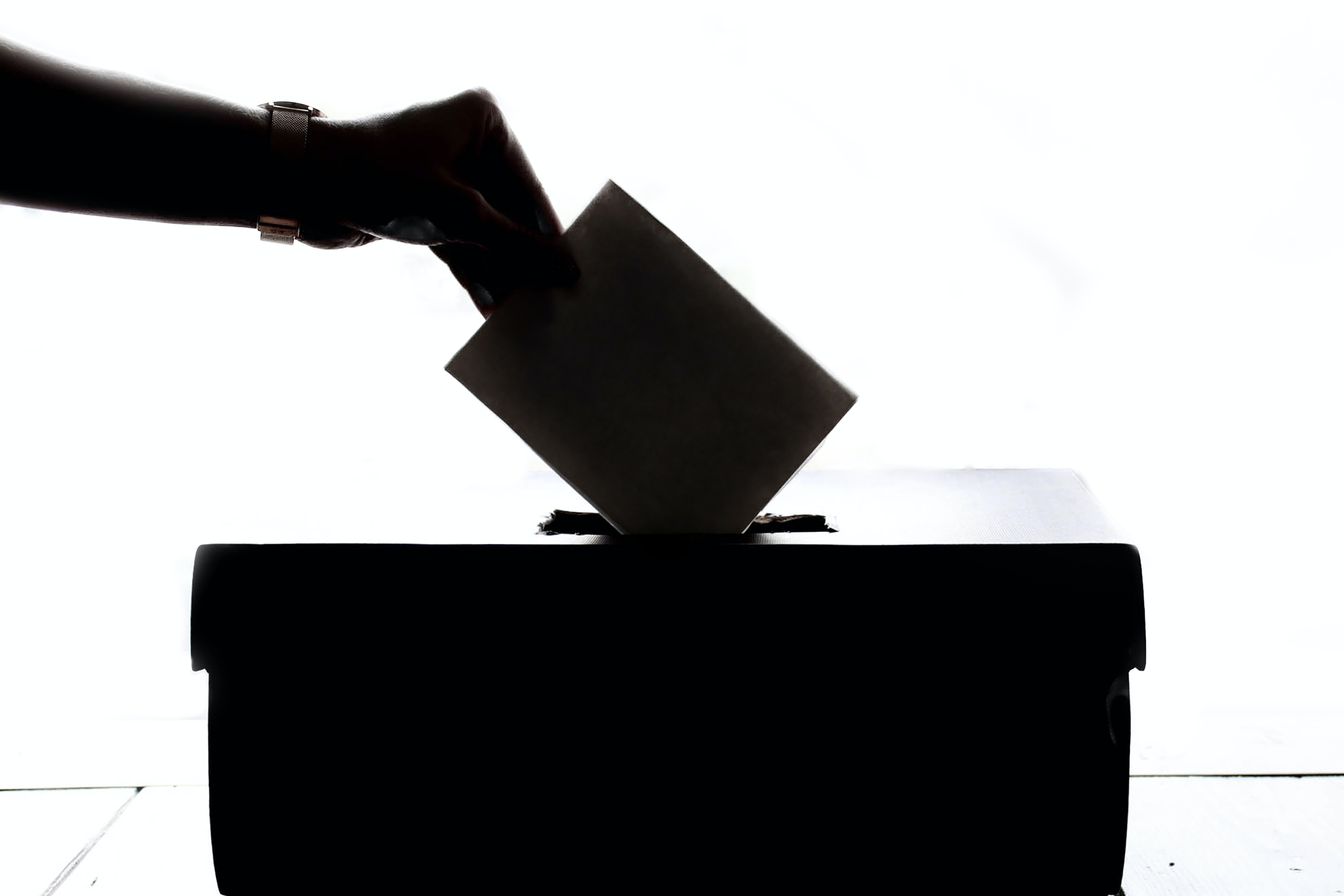 głosowanie urna wyborcza - Pexels