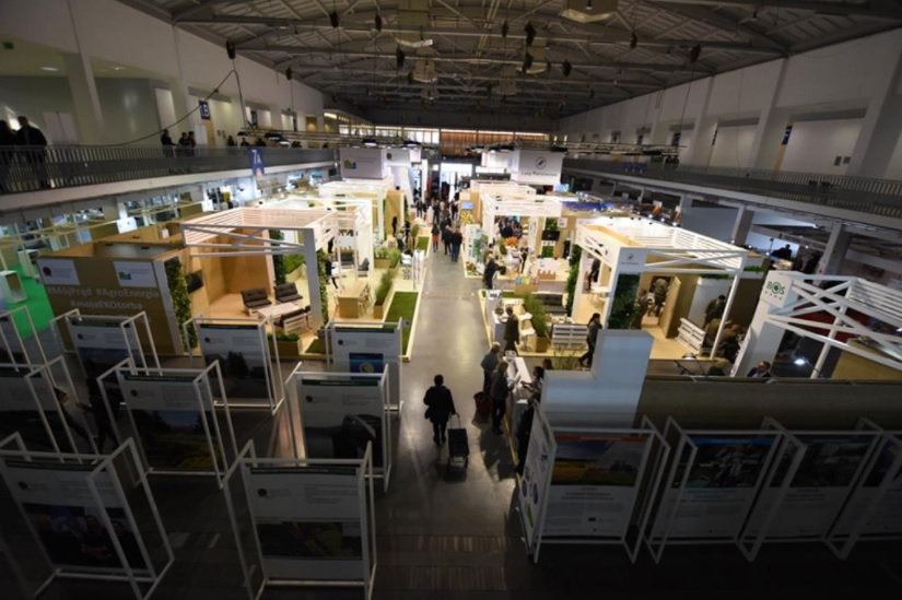  POLECO poznań - Wojtek Wardejn