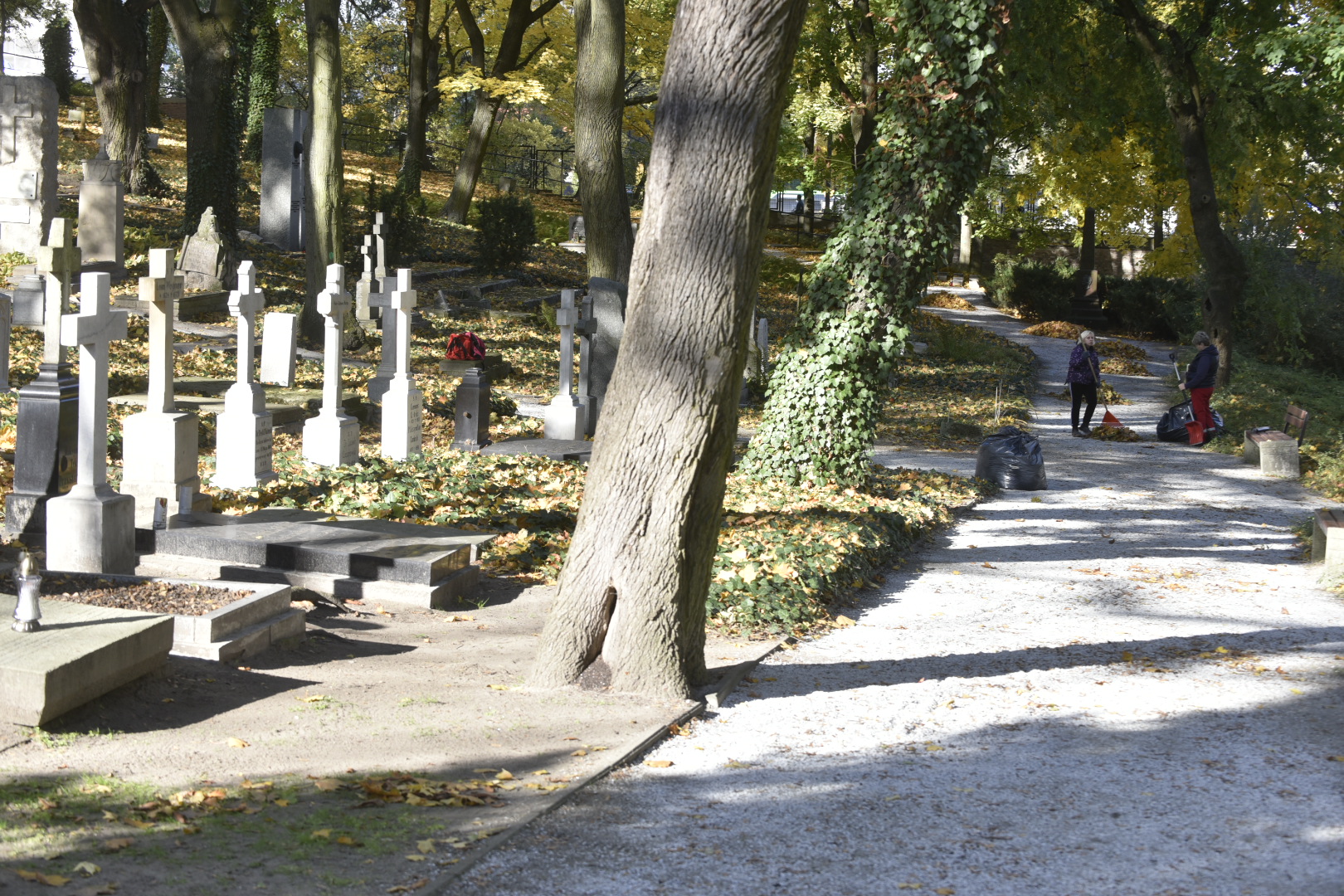 cmentarz zasłużonych porządki - Wojtek Wardejn - Radio Poznań