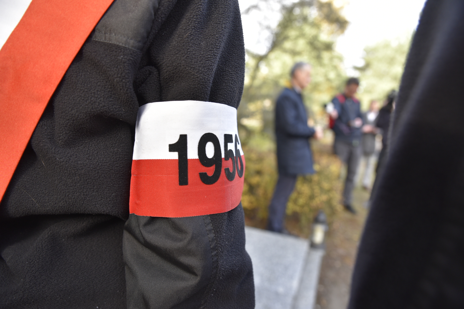 światełko dla czerwca - Wojtek Wardejn - Radio Poznań