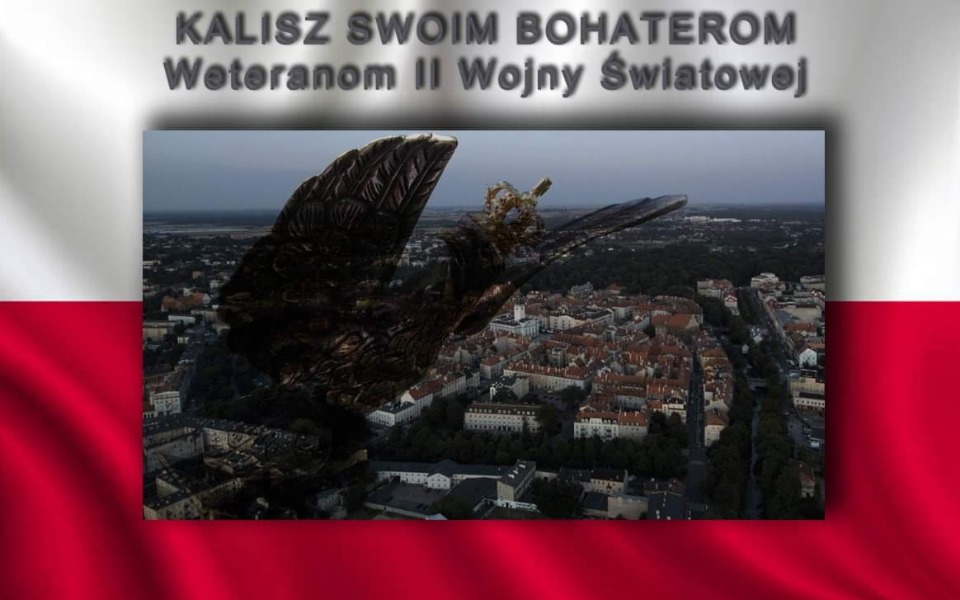 kalisz bohaterom - Organizator