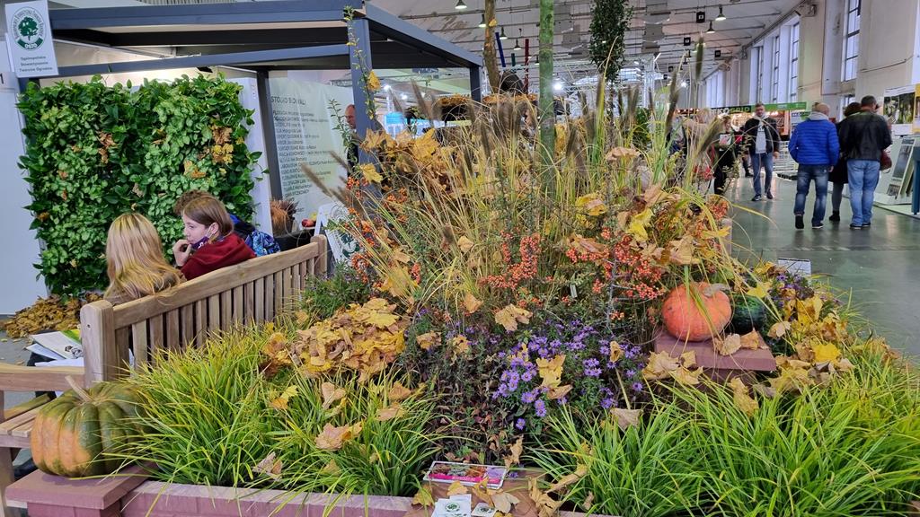 gardenia poznań - Magdalena Konieczna 