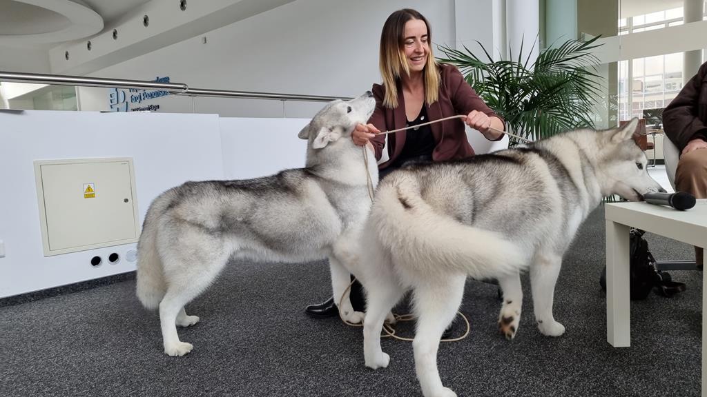 wystawy psów rasowych poznań - Magdalena Konieczna 