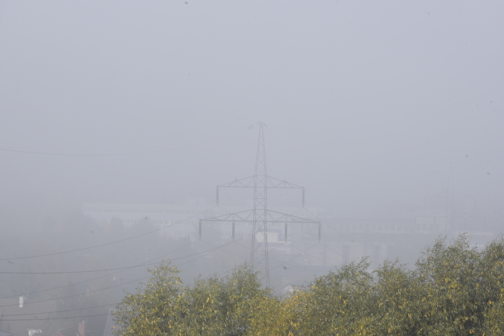 mgła poznań - Wojtek Wardejn