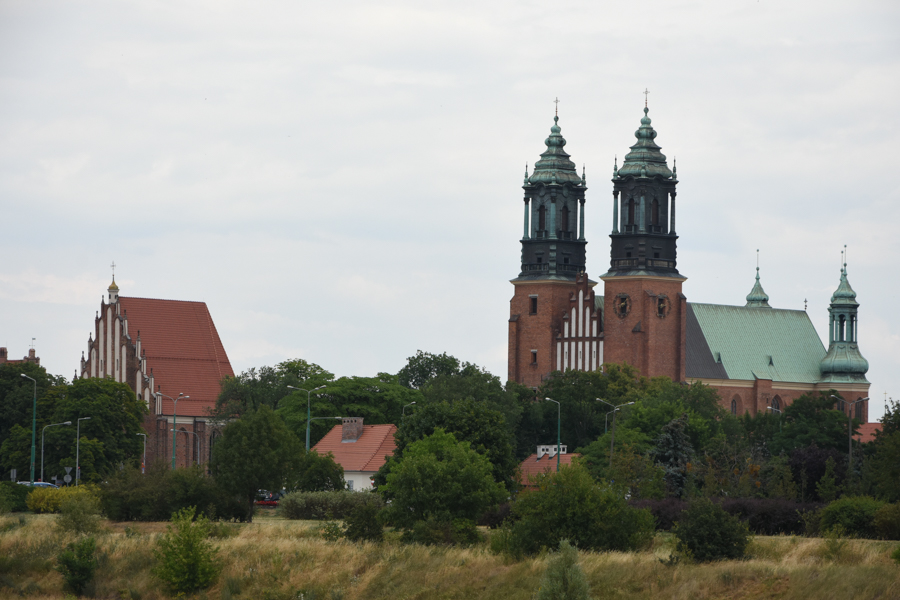 katedra poznań  - Wojtek Wardejn