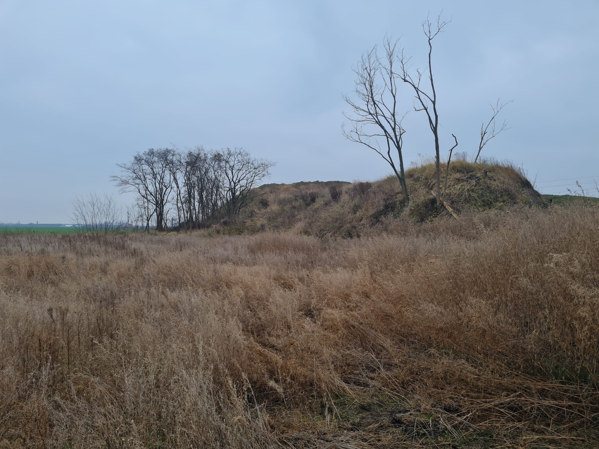 ziemianka rawicz - KPP Rawicz