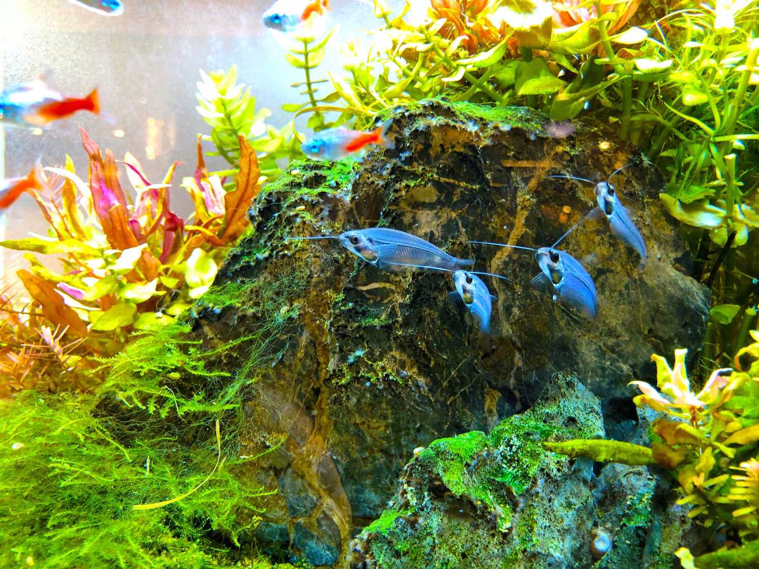 trzmiel.com.pl MATERIAŁ SPONSOROWANY - trzmiel.com.pl