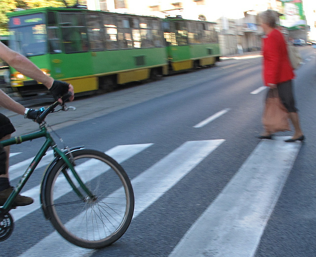 rower na pasach - TomFoto