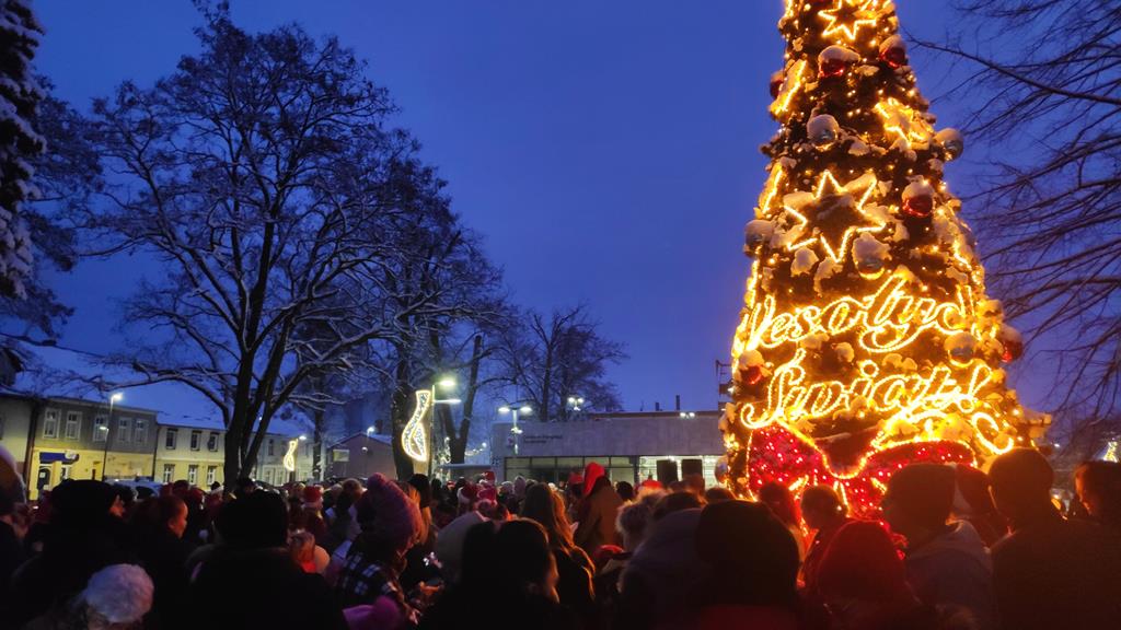 trzcianka miejska choinka - Przemysław Stochaj
