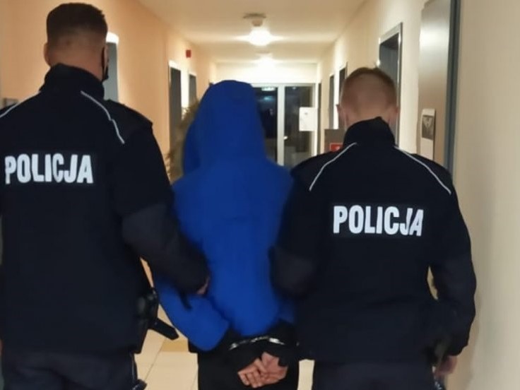 podpalacz suchy las podpalił bibliotekę  - KWP