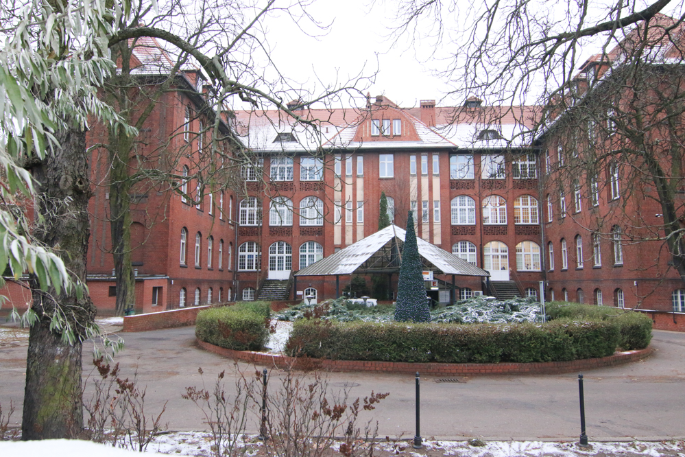 szpital heldiora święcickiego przybyszewskiego - Leon Bielewicz 