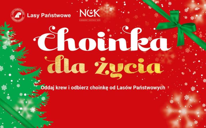 choinka za krew - Centrum Informacyjne Lasów Państwowych