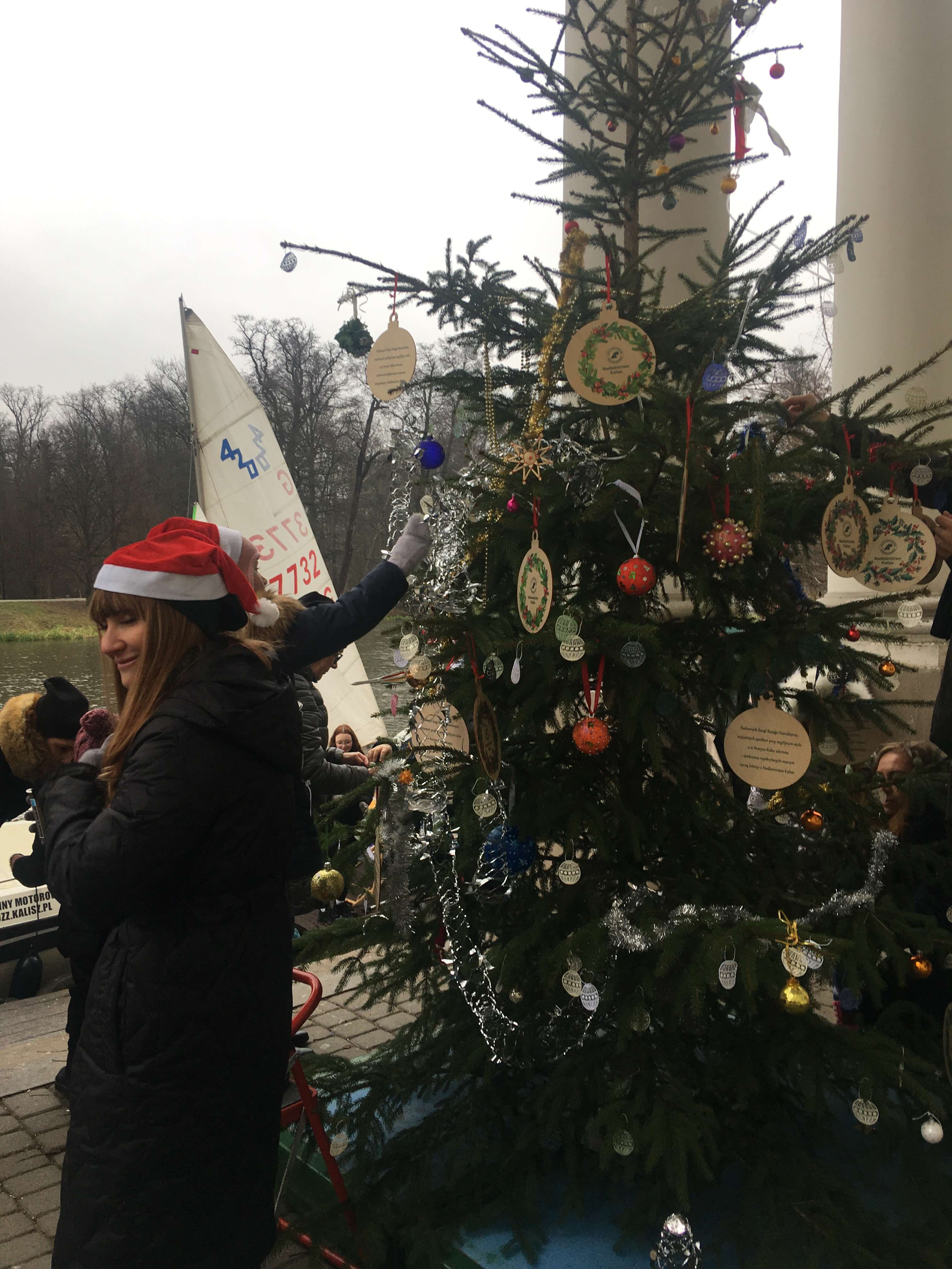 choinka na Prośnie - Danuta Synkiewicz
