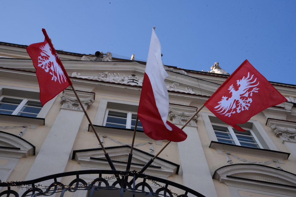 powstanie wielkopolskie  - Wojtek Wardejn