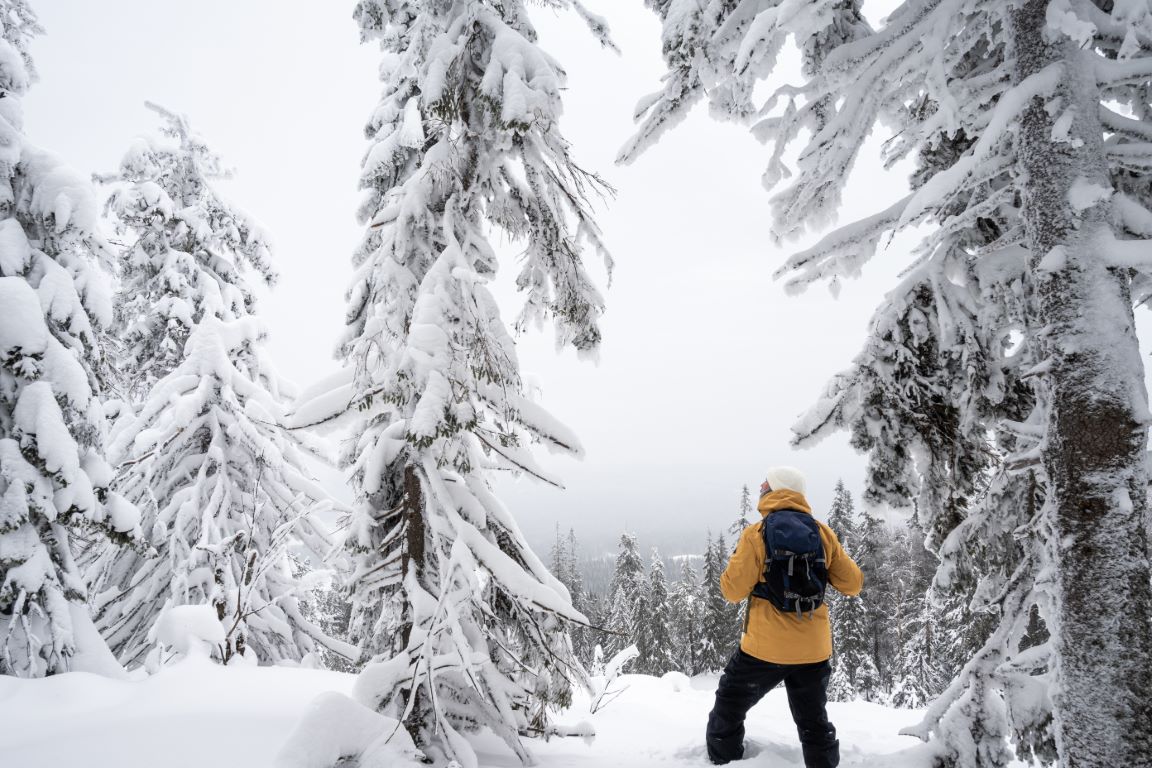 SPONSOROWANE - Materiał sponsorowany