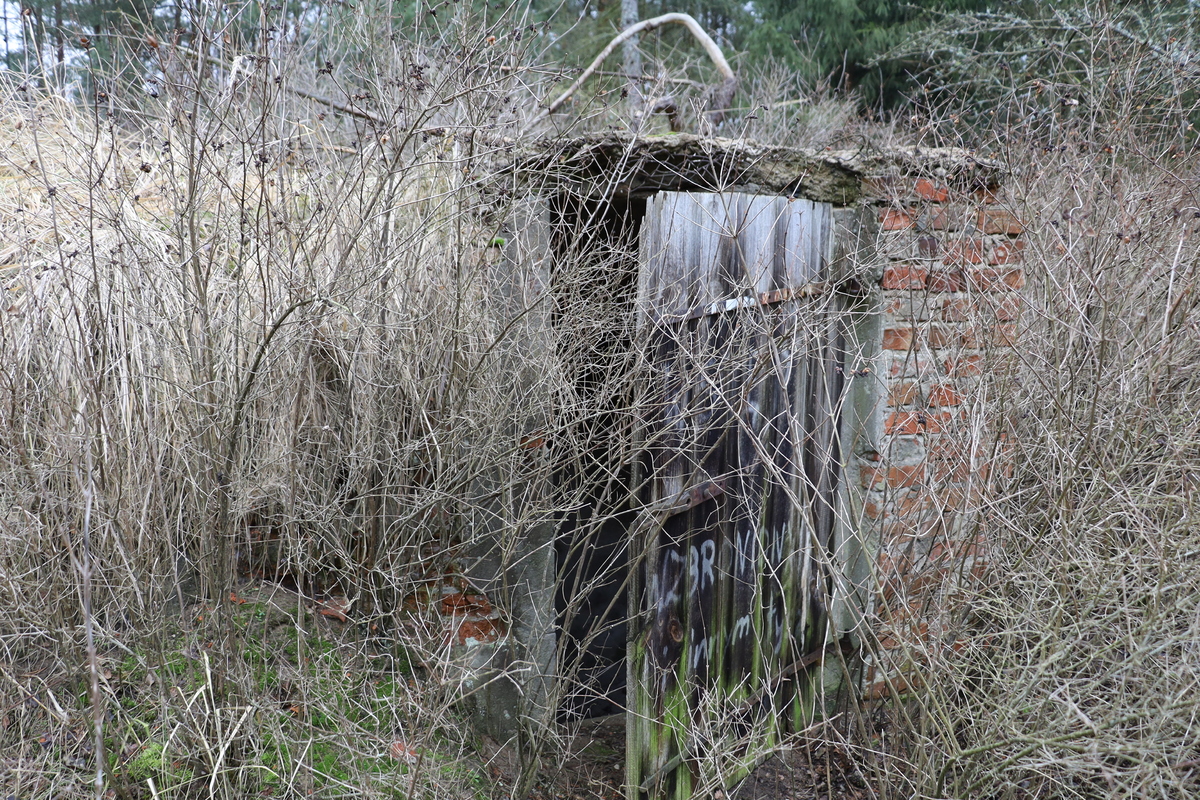 archiwum x sprawa antonin pedofil  - KWP