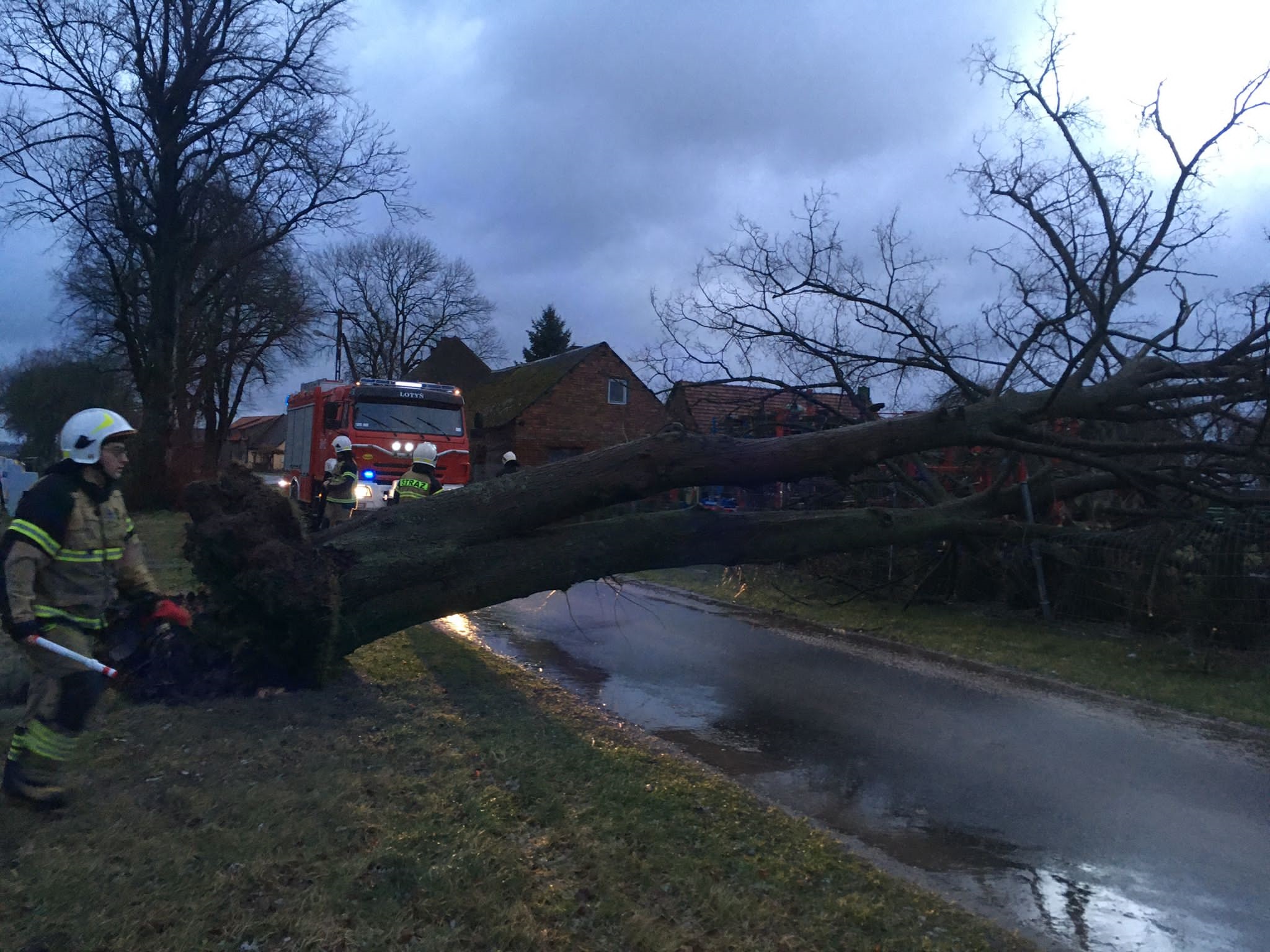 huragan wiatr drzewo wichura połamane drzewa - PSP