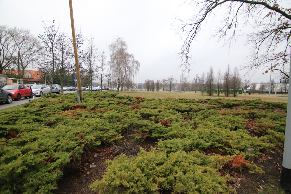 skwer wośp - Leon Bielewicz - Radio Poznań