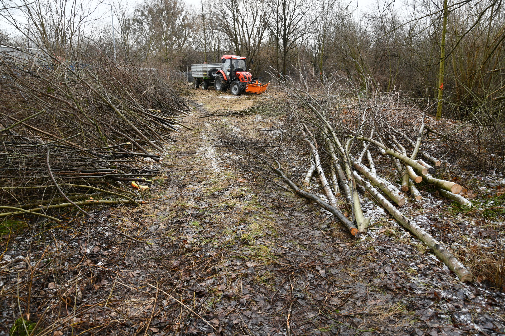 wycinka dmowskiego - Wojtek Wardejn - Radio Poznań