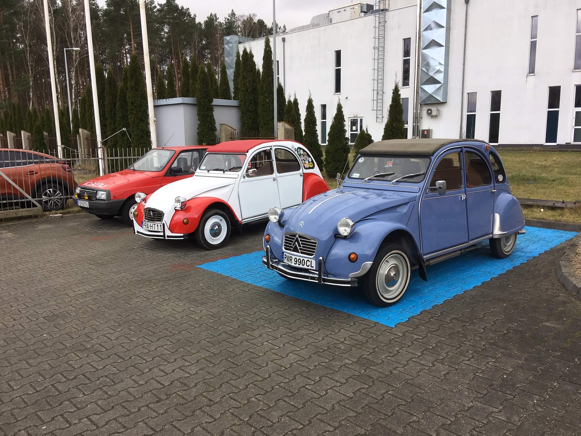 Citroen Rydzyna - Jacek Marciniak