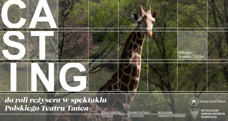 castin polski teatr tańca - PTT
