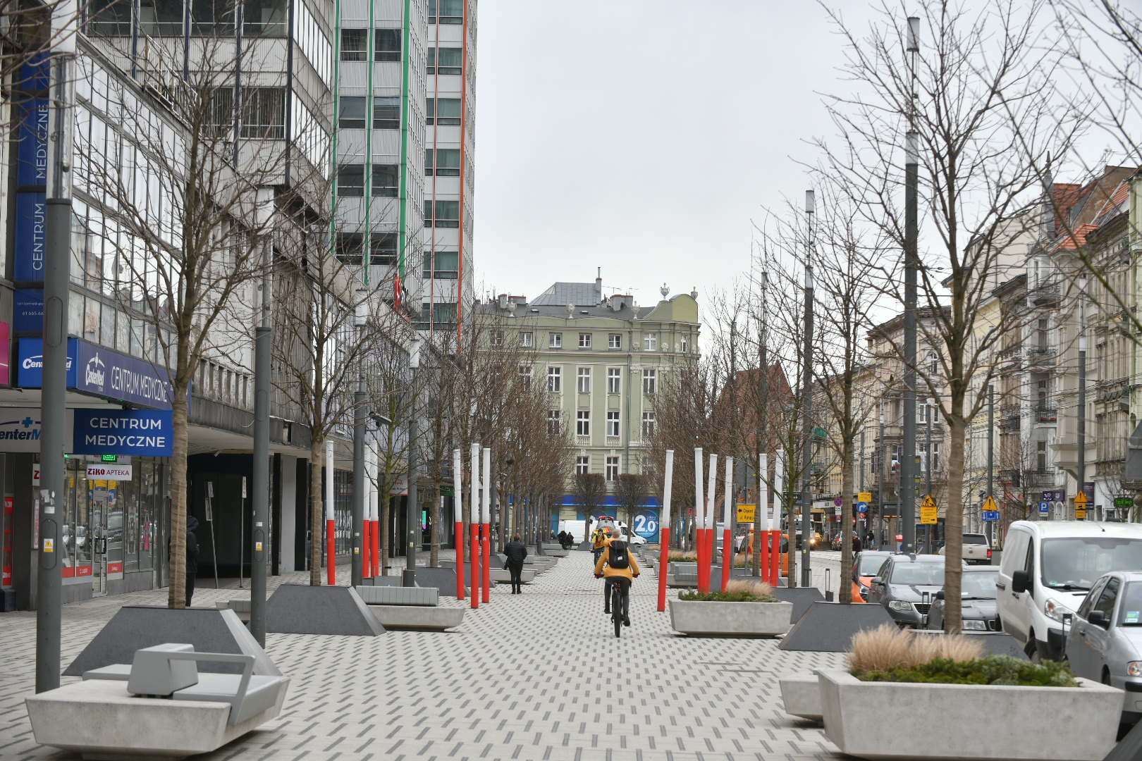 drzewa święty marcin  - Wojtek Wardejn