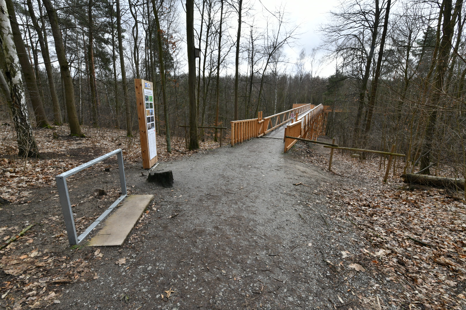 ścieżka w koronach drzew po wichurach  - Wojtek Wardejn