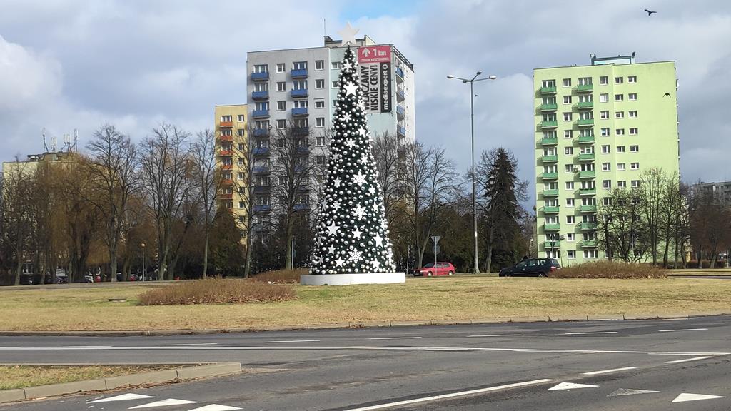 wieczne drzewko piła  - Przemysław Stochaj