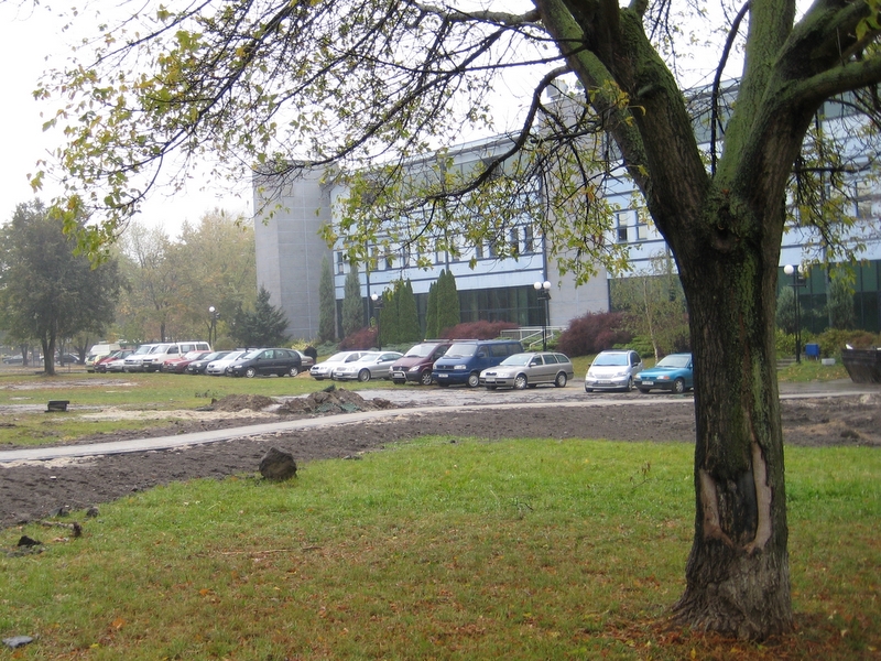 Park nad Wartą - w budowie - Anna Skoczek