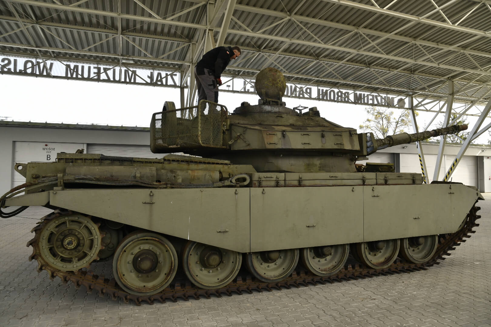 czołg centurion - Wojtek Wardejn