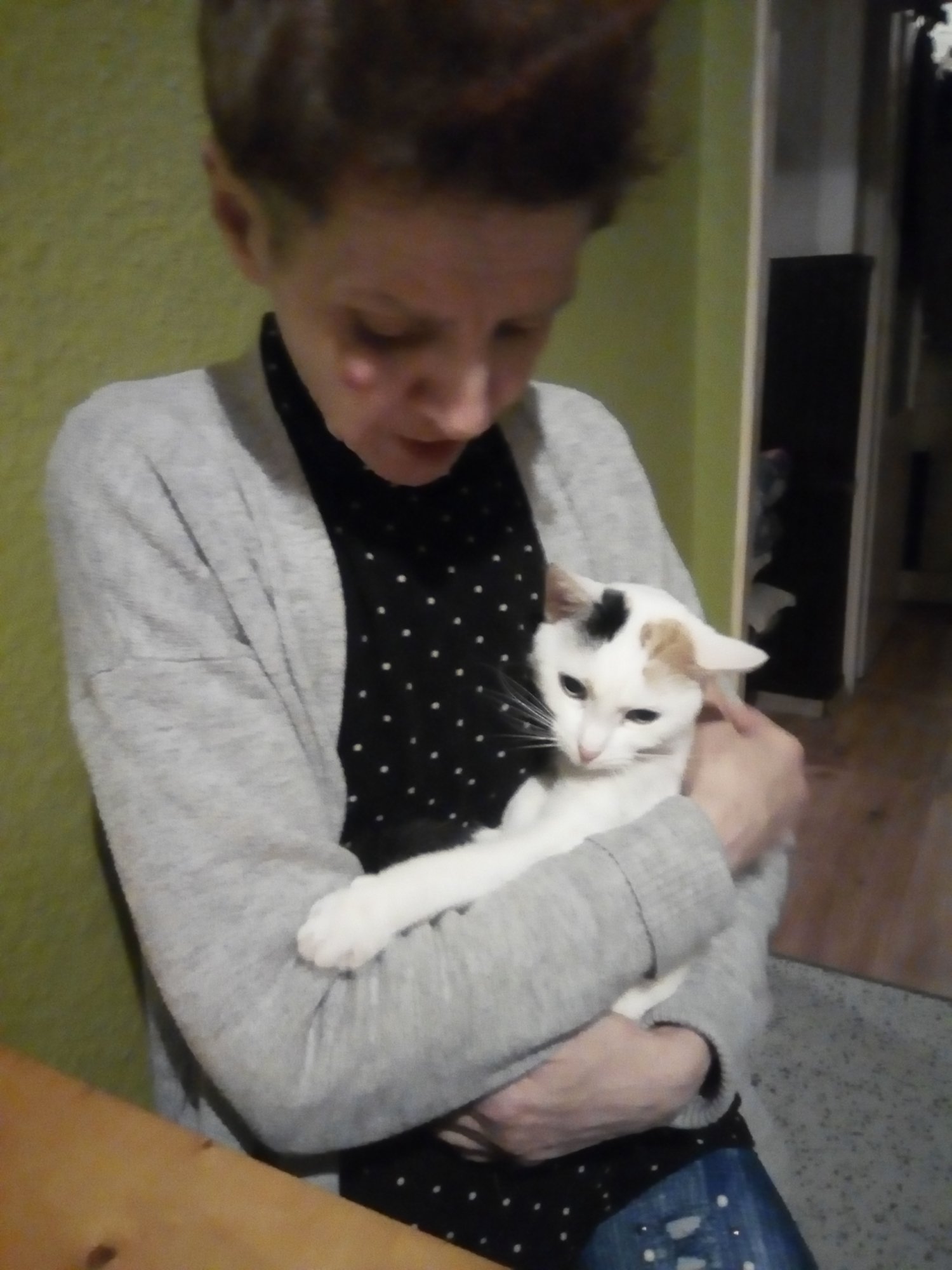 pomoc dla hani wyrzysk - zrzutka.pl