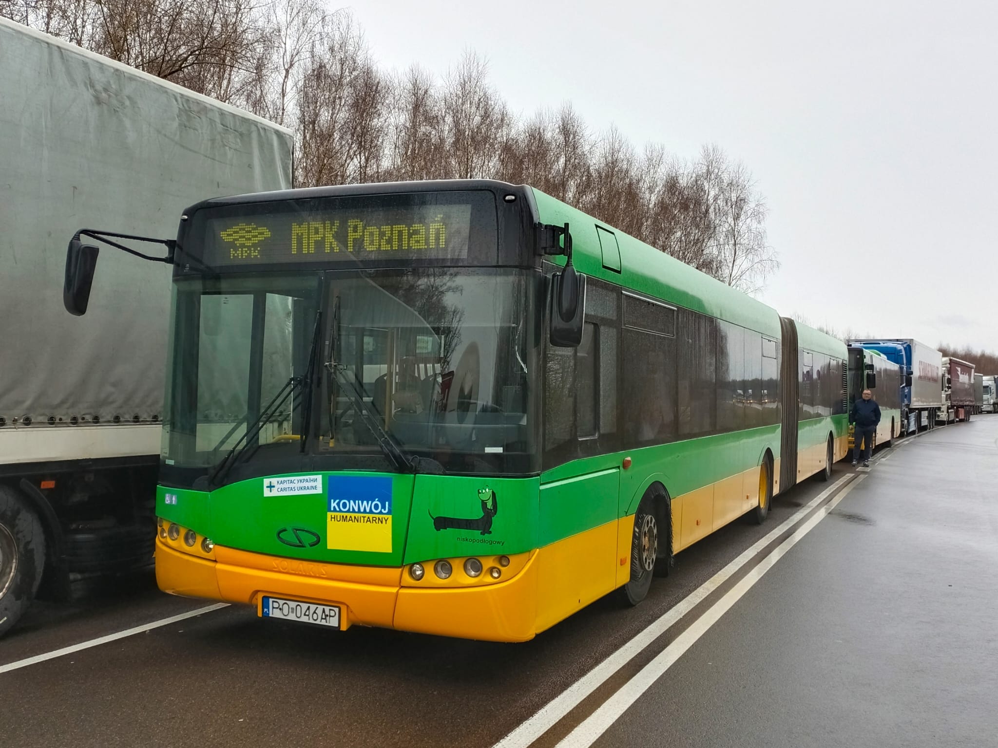 autobusy lwów  - MPK Poznań