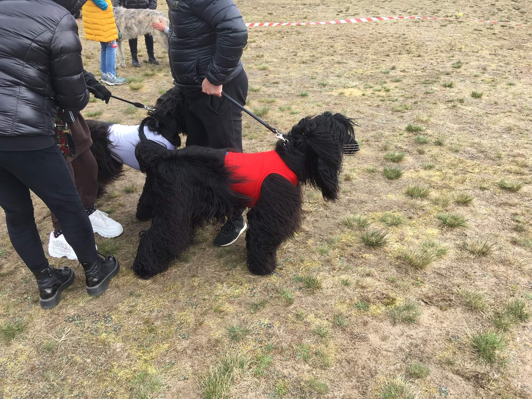 charty na lotnisku - Jacek Marciniak
