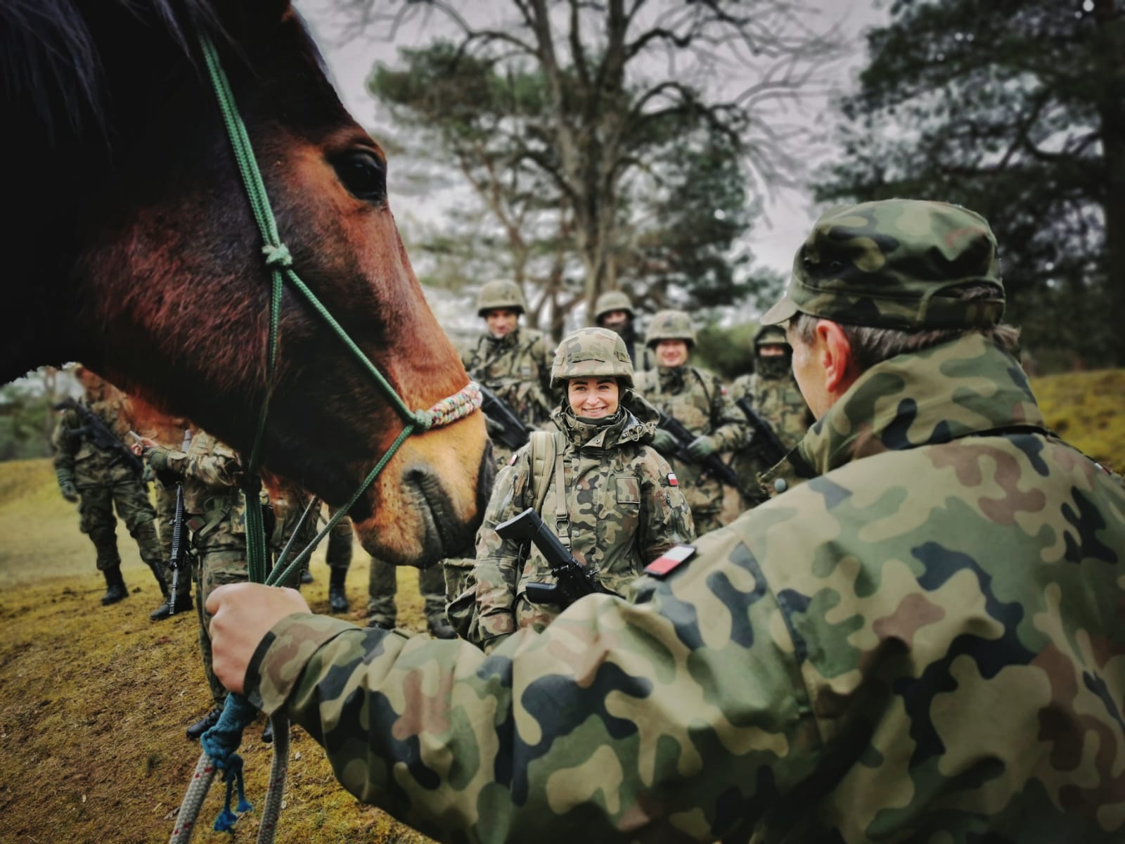 terytorialsi ćwiczenia z końmi - 12 WBOT