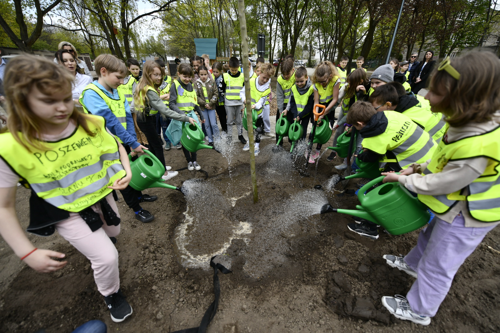 park przy Zespole Szkół Gastronomicznych na Winogradach zieleniec poznań - Wojtek Wardejn - Radio Poznań