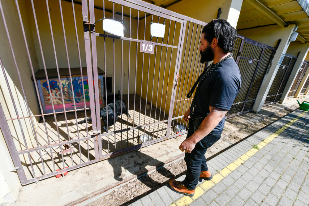 psy z ukrainy schronisko poznań chris jimenez  - Wojtek Wardejn - Radio Poznań