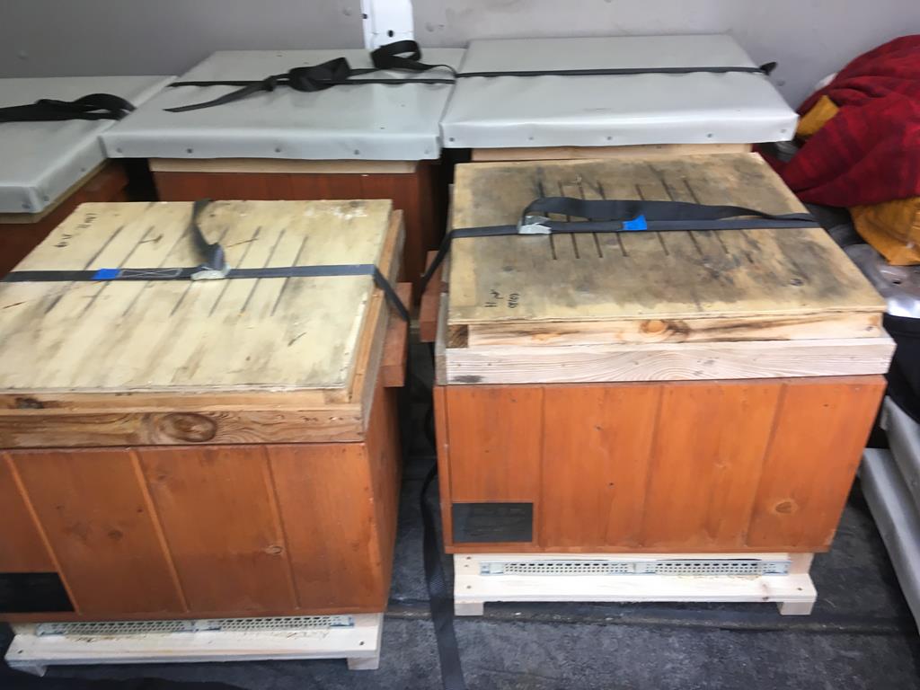 tworzymirki pszczoły bank pszczół  - Jacek Marciniak - Radio Poznań