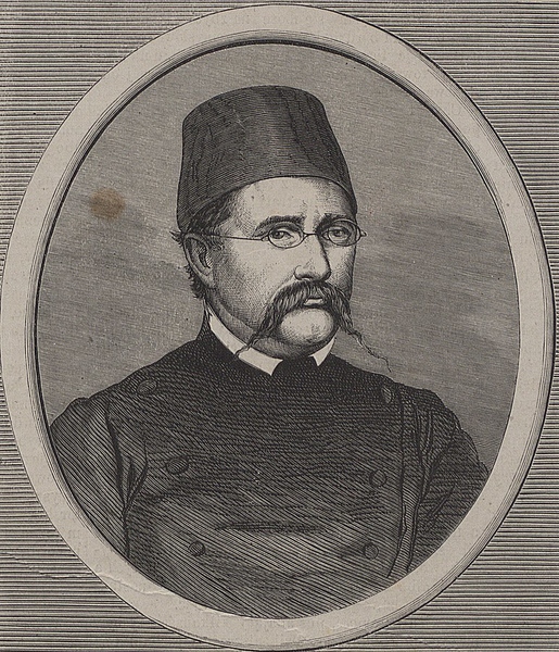 ryszard berwiński - Polona.pl