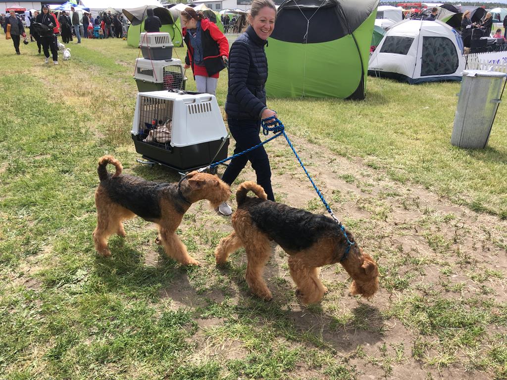 Międzynarodowa Wystawa Psów Rasowych leszno - Jacek Marciniak