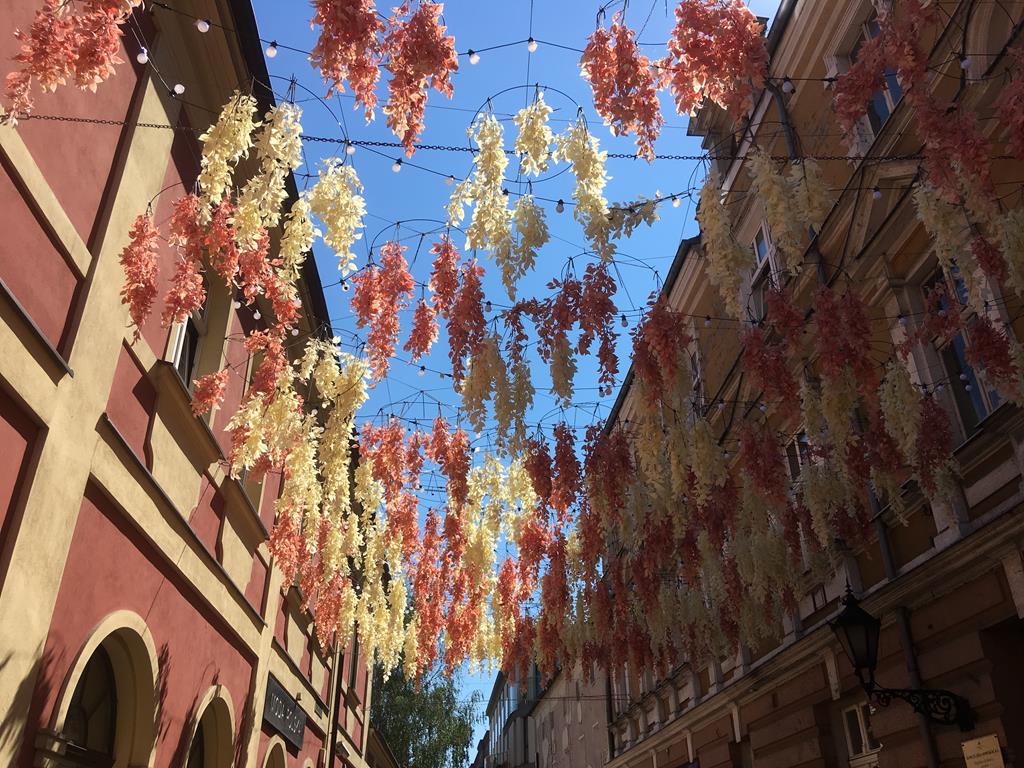 ulica bracka leszno nowa instalacja  - Jacek Marciniak