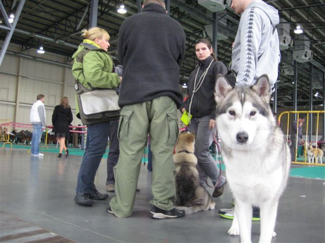 Wojciech Chmielewski