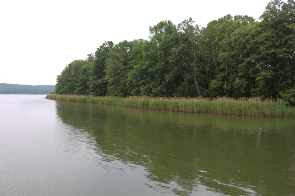 kiekrz jezioro kierskie bartłomiej wróblewski - Leon Bielewicz - Radio Poznań