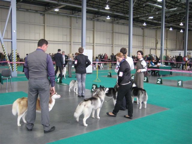 Wojciech Chmielewski