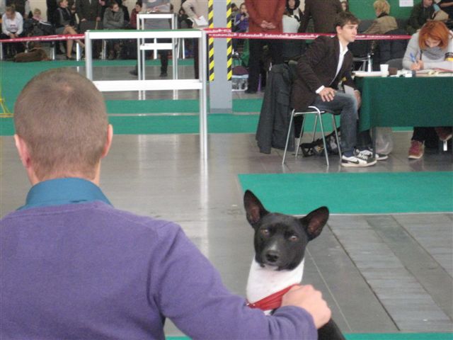 Wojciech Chmielewski